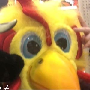 Meet your Posher, Josie